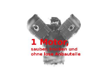 max. ein Motor ist zubuchbar